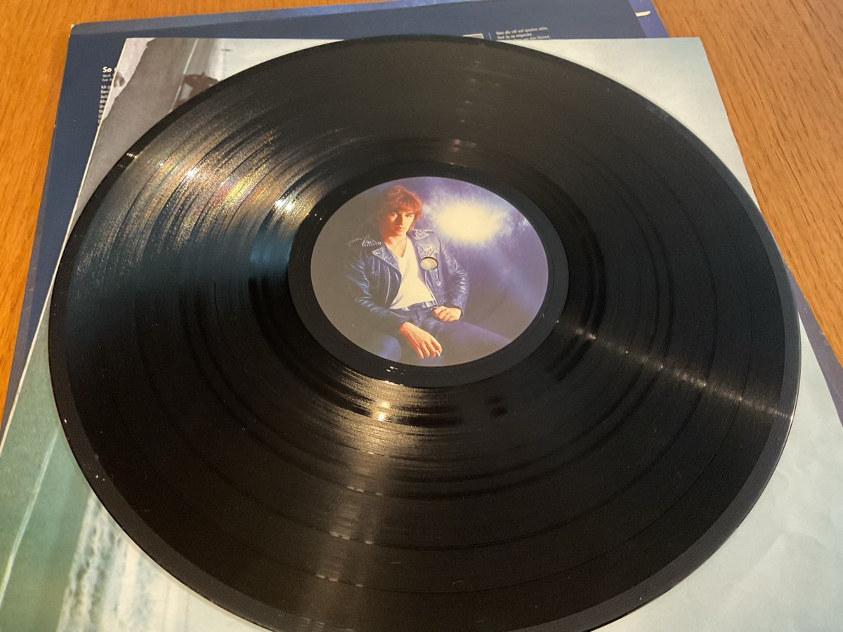 Schallplatten: Peter Maffay - Steppenwolf - Vinyl LP - Top Zustand! – Gebraucht aus Steinach von Quarkie 2