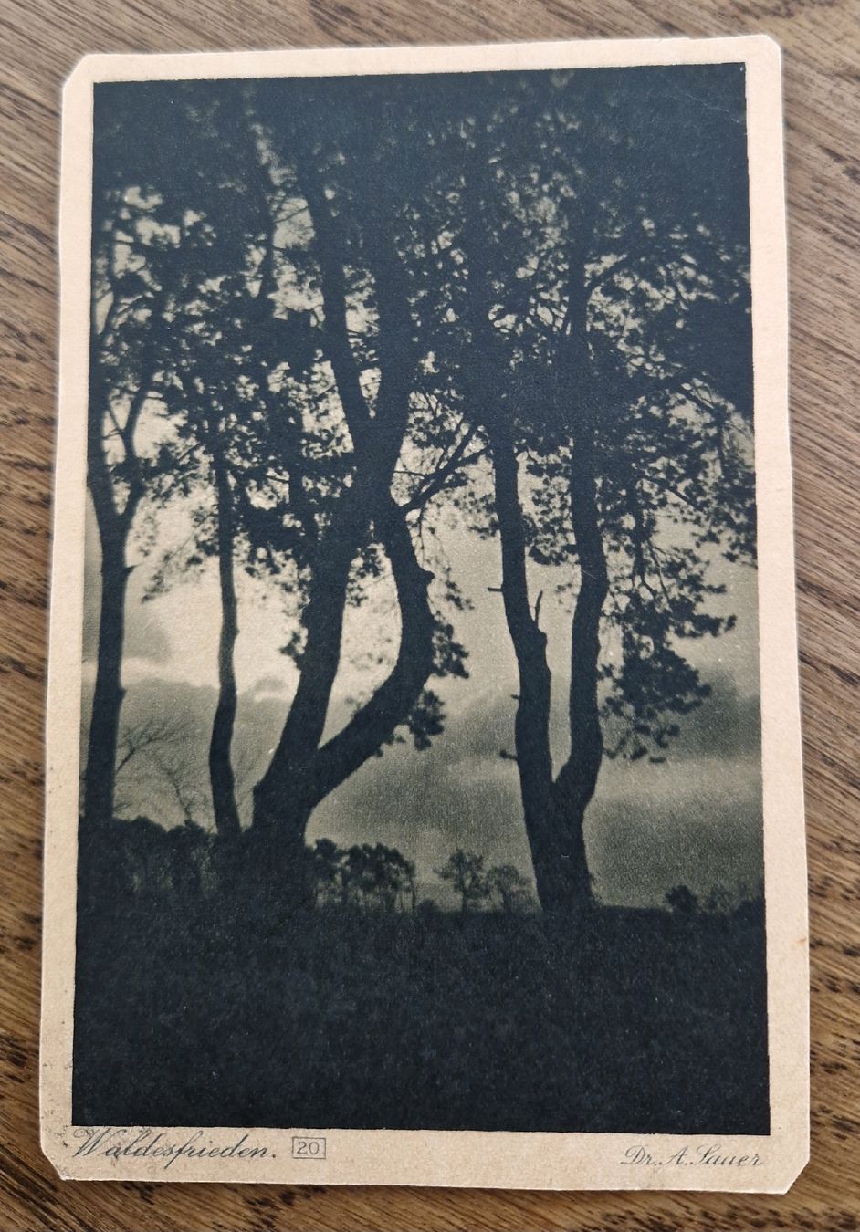 Ansichtskarten: Waldfrieden, Dr. A. Sauer 1919 n. Winterthur – Gebraucht aus Ebikon von Donar50