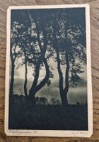 Waldfrieden, Dr. A. Sauer 1919 n. Winterthur