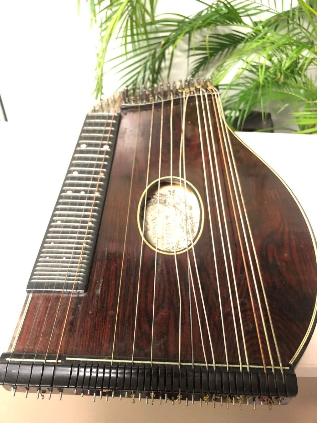 Strumenti musicali: Zither in Originalkoffer ! – Usato da Brügg BE venduto da doppelsalchow 2