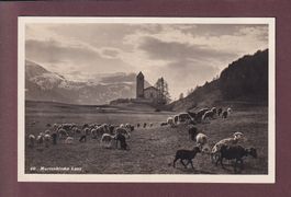 LENZ - Marienkirche - Schafherde