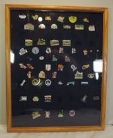 Pin Sammelvitrine aus Holz