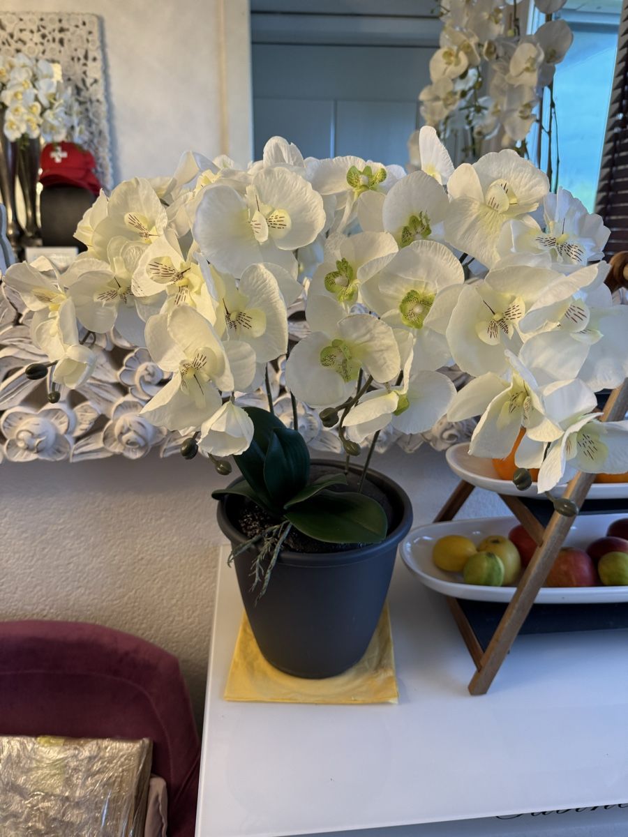Alle Dekorationen: Künstliche Orchideen weis, New – Neu (gemäss Beschreibung) aus Zürich von Privat4444 1