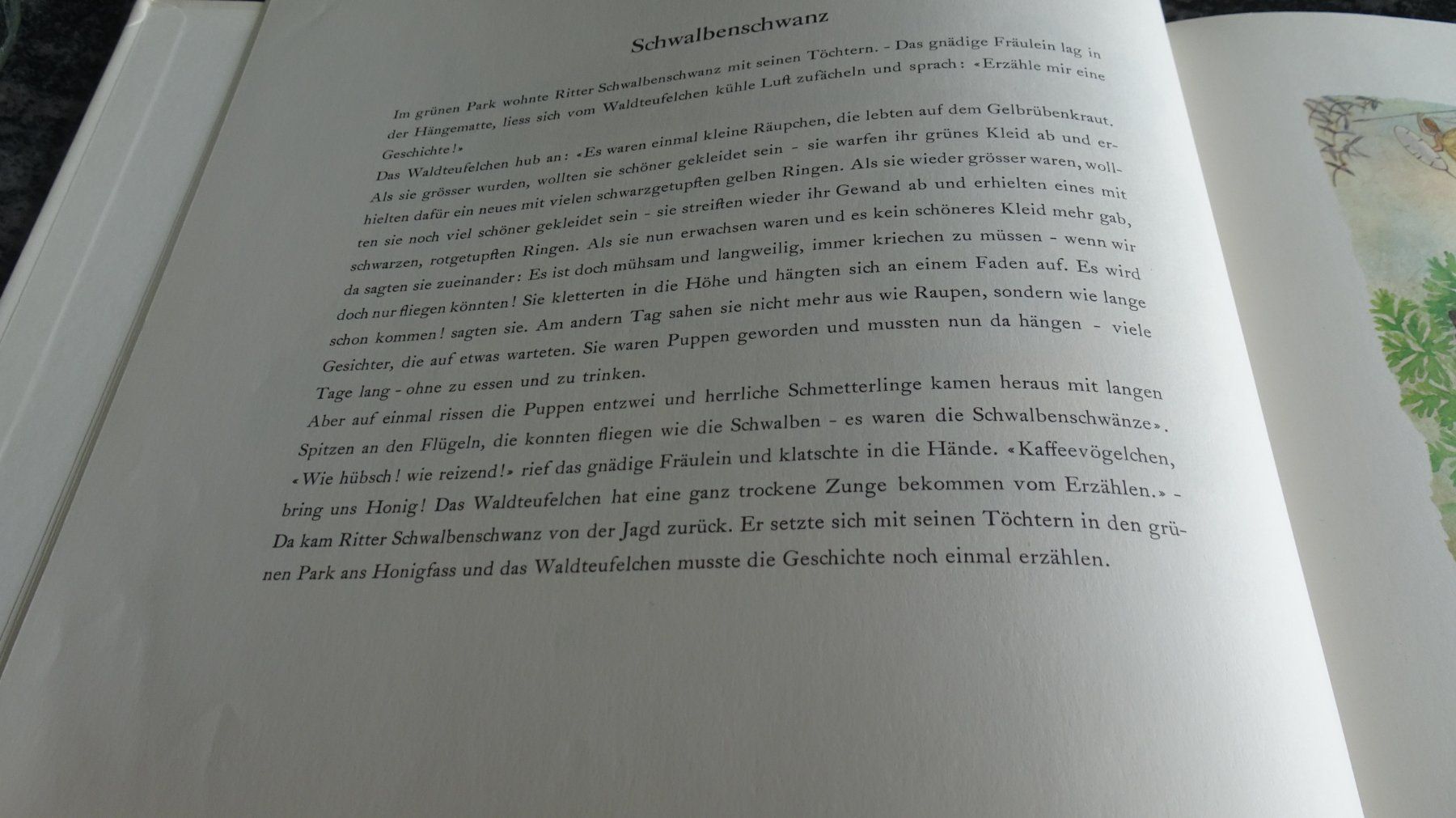 Libri: E. Kreidolf  DER TRAUMGARTEN MIT WUNDERSCHÖNEN BILDERN – Usato da Zürich venduto da Roulet 4