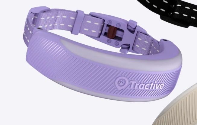 Sonstiges Tierzubehör: Tractive Cat 6 Mini – Neu und originalverpackt aus Niederhasli von secondhand10