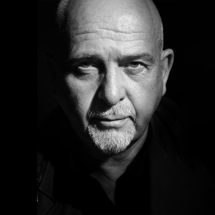 Ticket Peter Gabriel Kaufen auf Ricardo