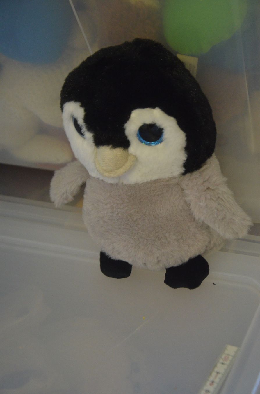 Giocattoli: PELUCHE PINGUIN – Usato da Chiasso venduto da Dolly015