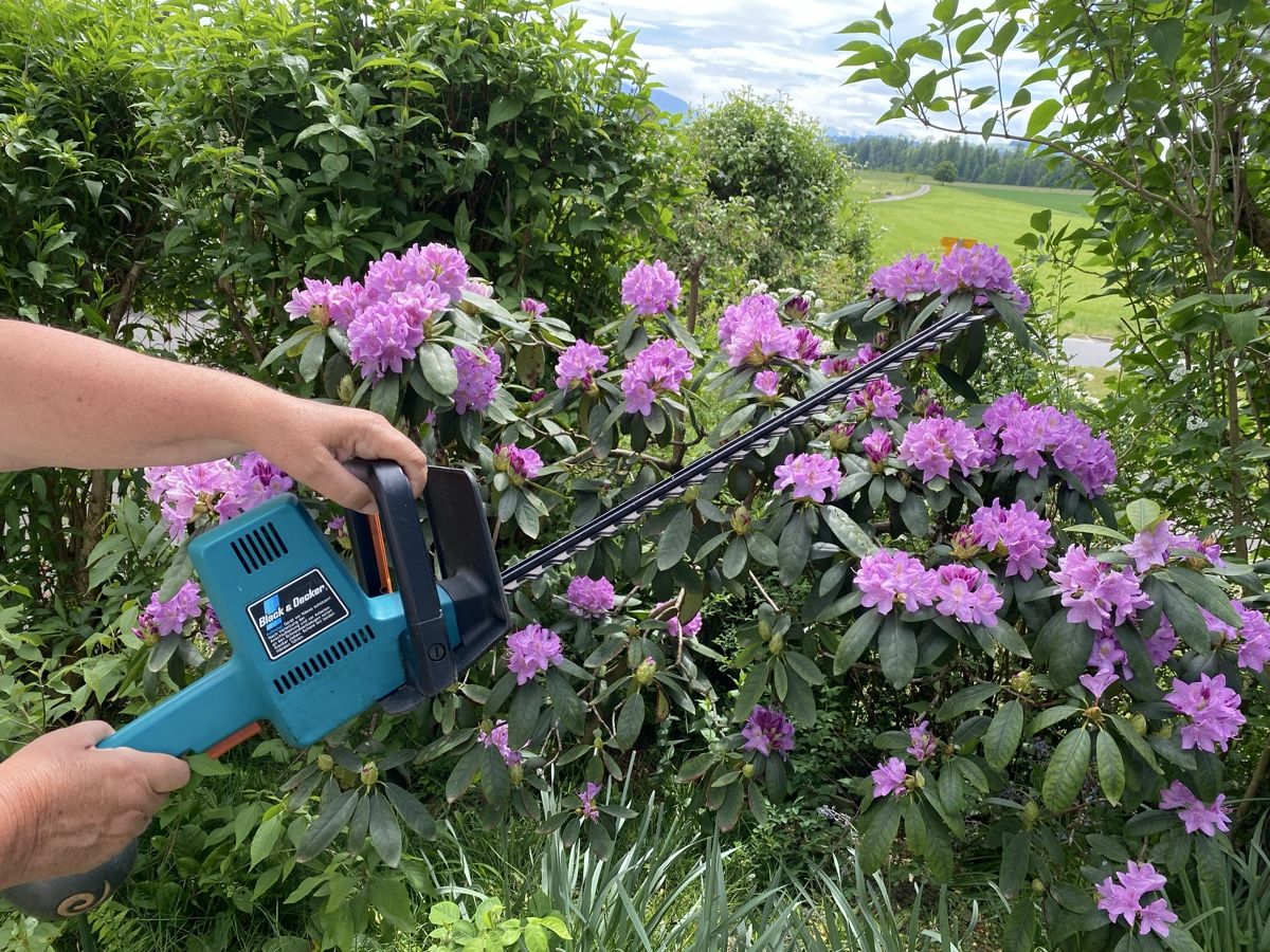 Tutti gli attrezzi: Black&Decker Heckenschere, funktioniert – Usato da Hünenberg venduto da a.u.849 1