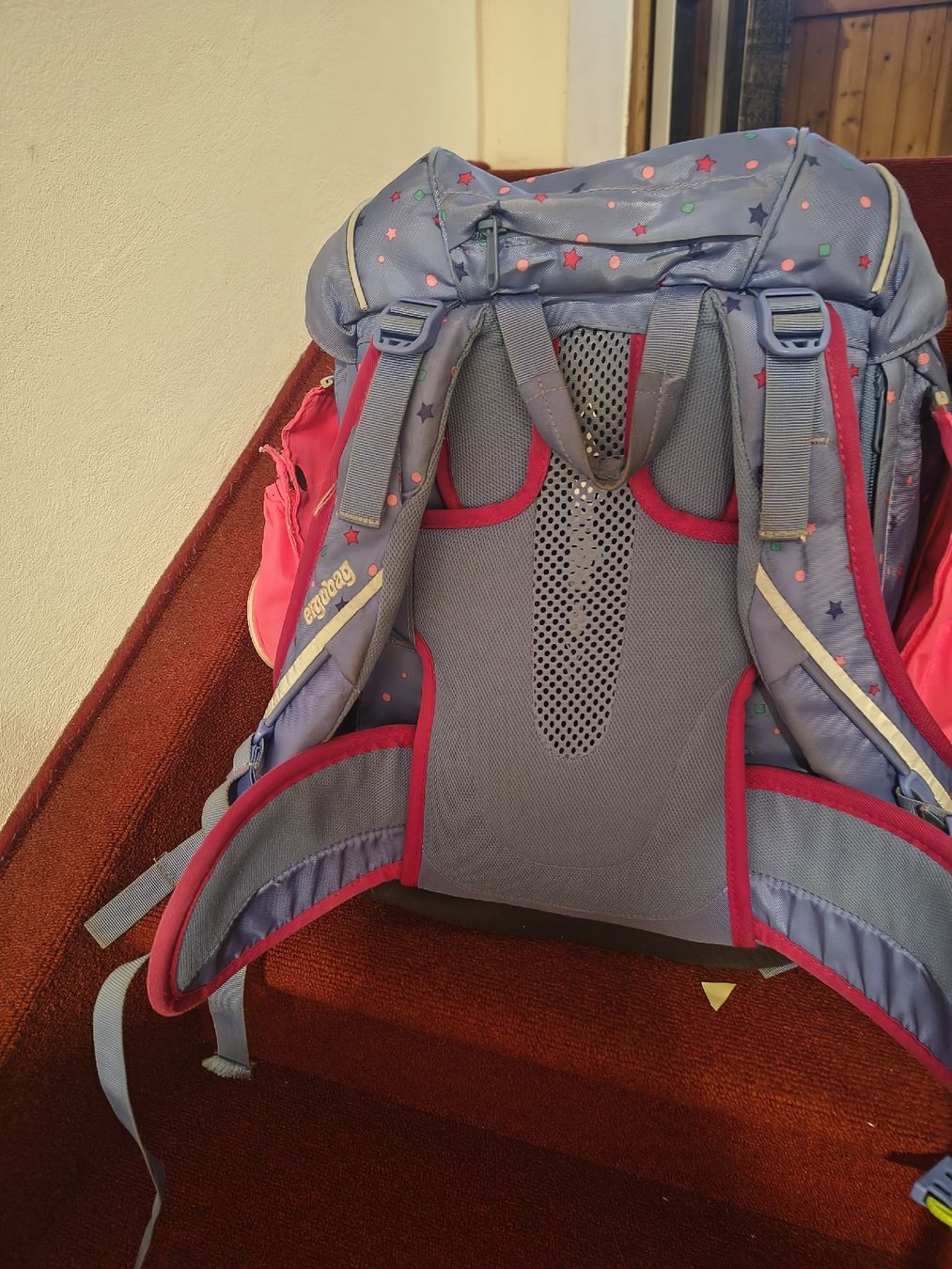 Ergobag Sacs & sacs à dos: Ergobag Schulrucksack Set lila Sterne Delfine gebraucht – D'occasion à Sachseln par and_vp77 4