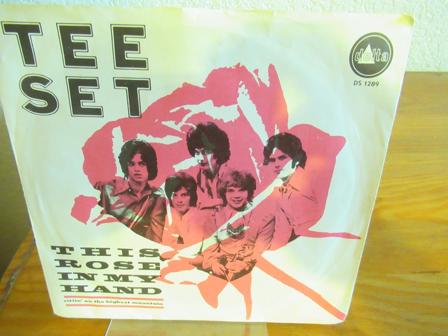 Dischi in vinile: TEE SET - THIS ROSE IN MY HLAND – Usato da Grône venduto da Mire01