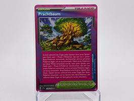 Stellarkrone - Prachtbaum  (SCR 136) - DE