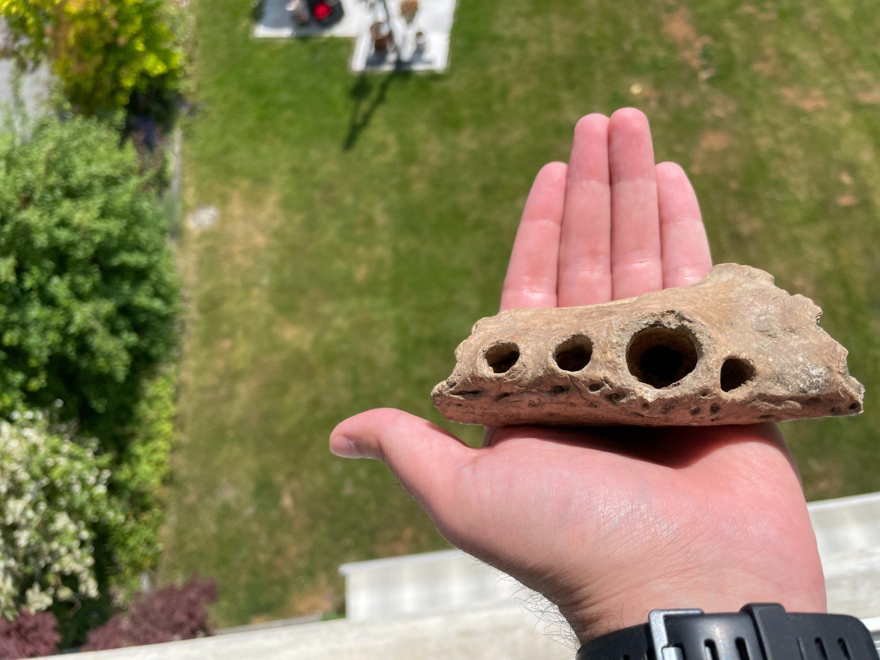 Fossilien: Fossiles Krokodilkieferstück Indonesien – Gebraucht aus schüpfen von rica122 1