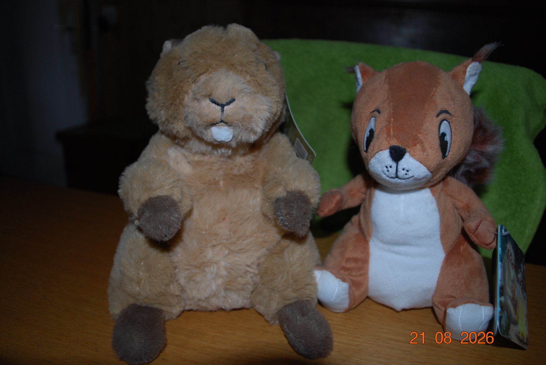 Spielzeuge: Plüschtiere Eichhörnchen und Biber – Neu (gemäss Beschreibung) aus Seedorf BE von grauerbaer2001