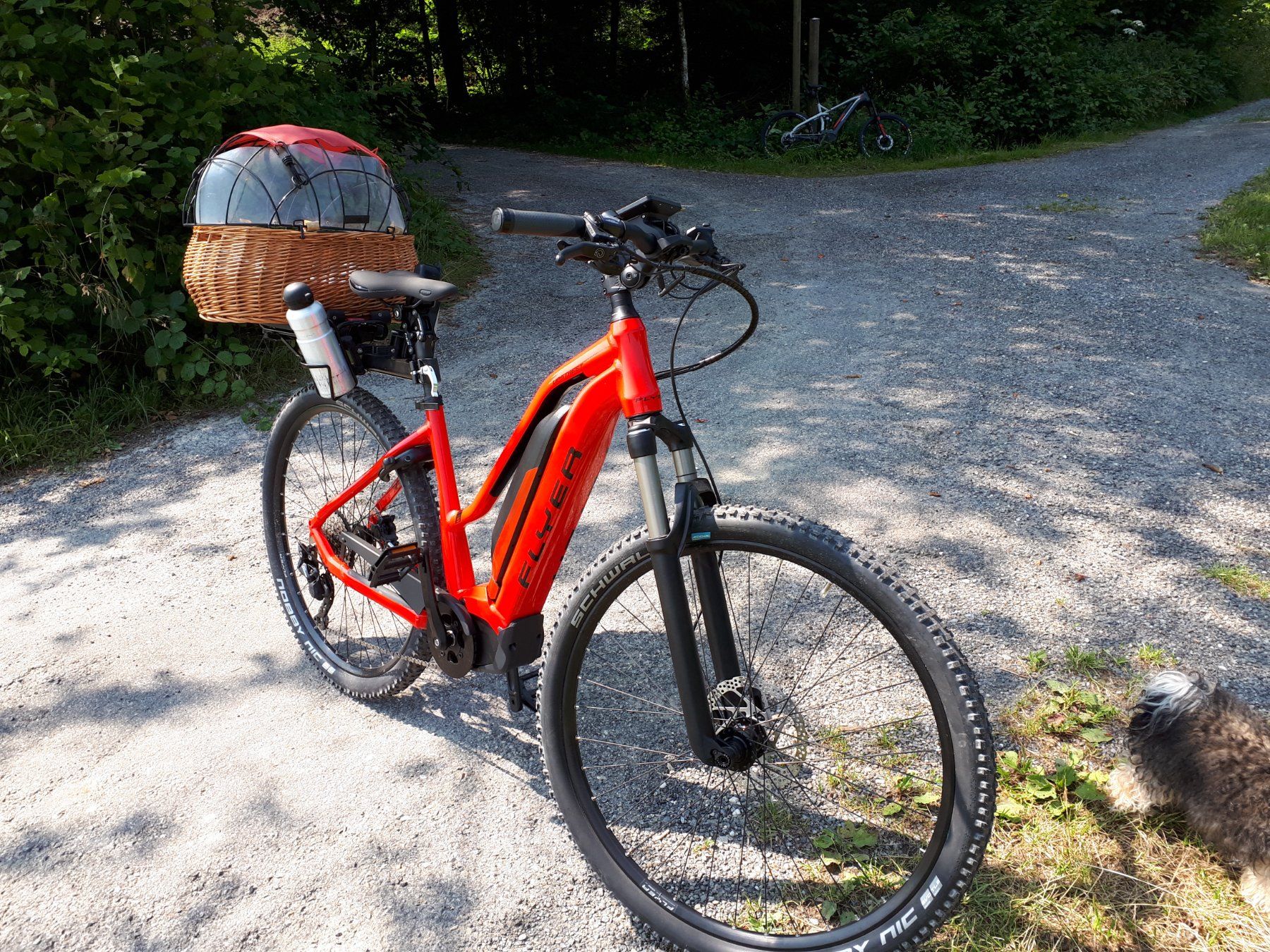 Cucce & Letti: Hunde Velokorb mit Thule Click-Fix Rack – Usato da Hirschthal venduto da specpro 3
