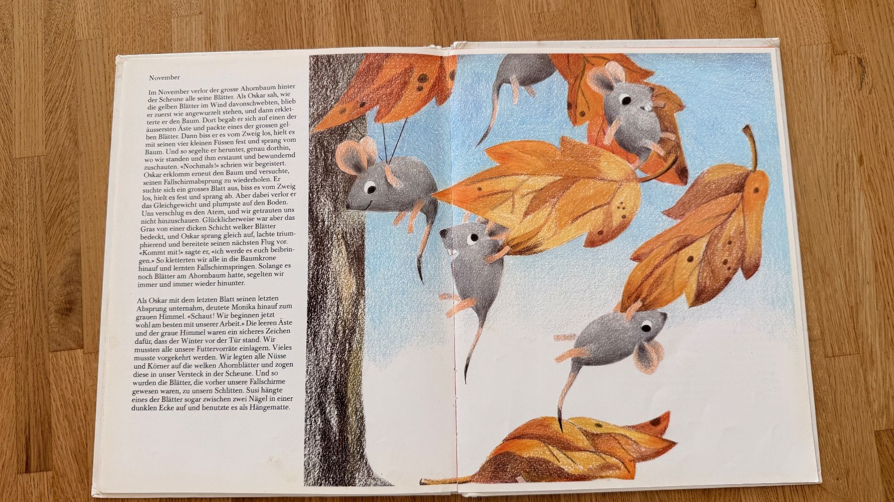 Libri: Buch - Das Jahr der Mäuse – Usato da Winterthur venduto da Secondhand-Family 9