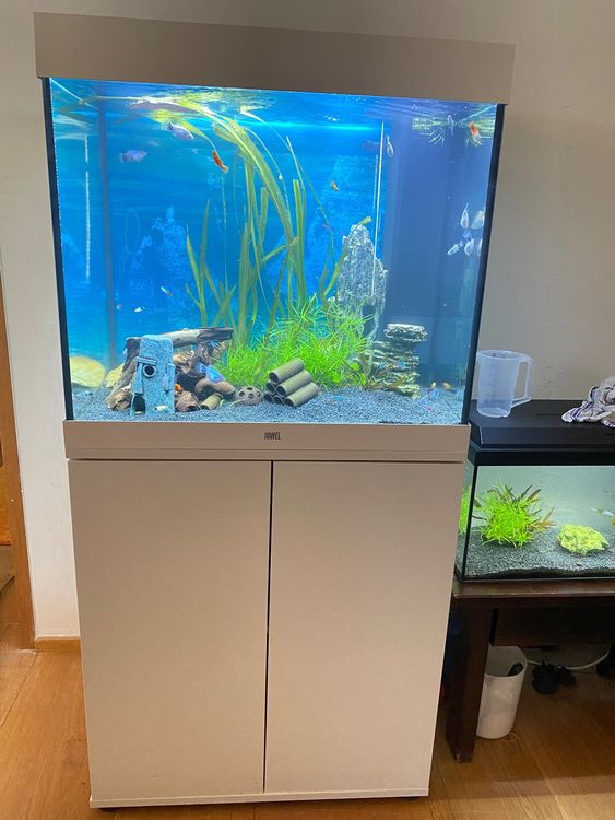 Juwel Lido 200l Aquarium mit Unterschrank weiss Kaufen auf Ricardo