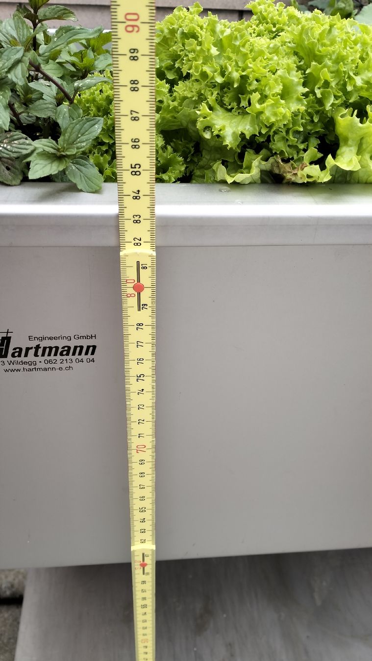 Box contenitori: Kräuterhochbeet von Hartmann – Usato da Nussbaumen AG venduto da Fuji77 4