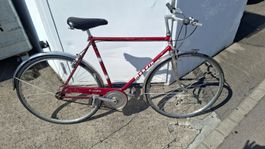 Mondia Velo  Rot 28 Zoll Occasion