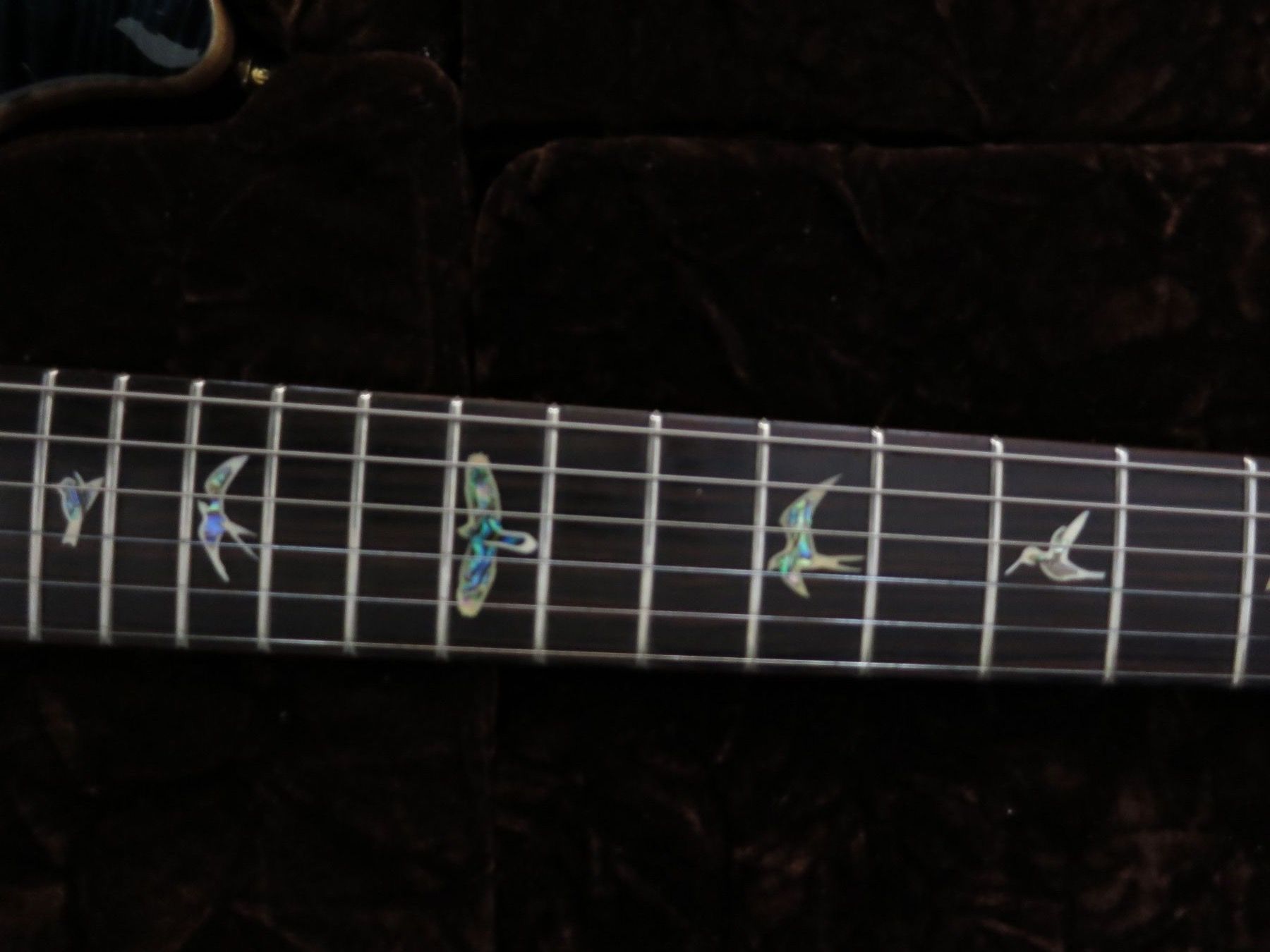 PRS Musikinstrumente: PRS Privat Stock Custom 24 Signature – Gebraucht aus Sargans von Tritonurs 2