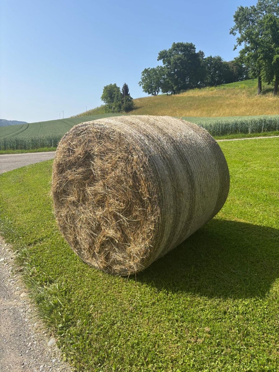 Futter: Heu Rundballen, Ernte 2024 – Neu und originalverpackt aus Bäretswil von mel_2xd5