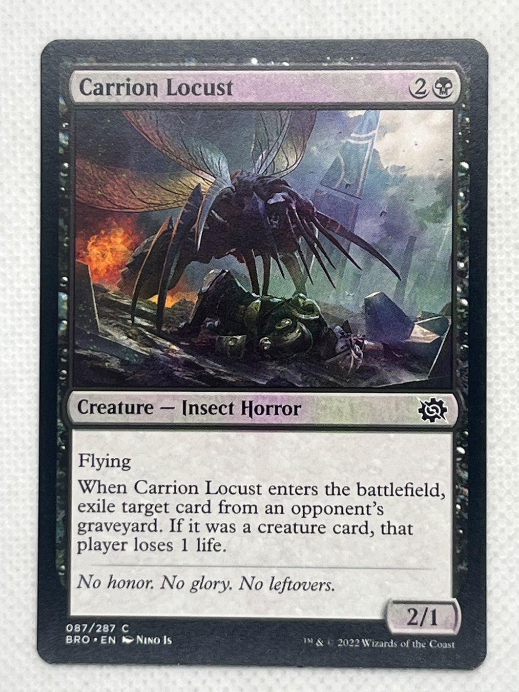 Magic The Gathering Sammelbilder & Trading cards: MTG Carrion Locust BRO 087 Englisch Common – Gebraucht aus Hinterkappelen von Kim1992