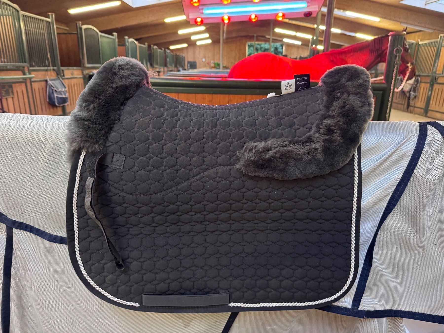 Selle & Accessori: NEUE Mattes Schabracke – Usato da Niederglatt ZH venduto da mvgie 1