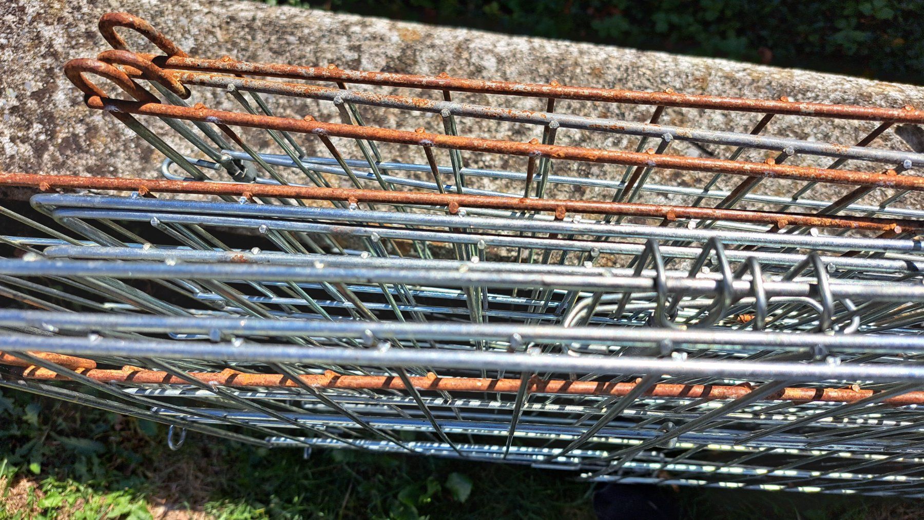 Cages, transport & sécurité: Gitter Aussengehege – D'occasion à Azmoos par MartinaK01 2