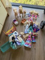 Barbie Set
