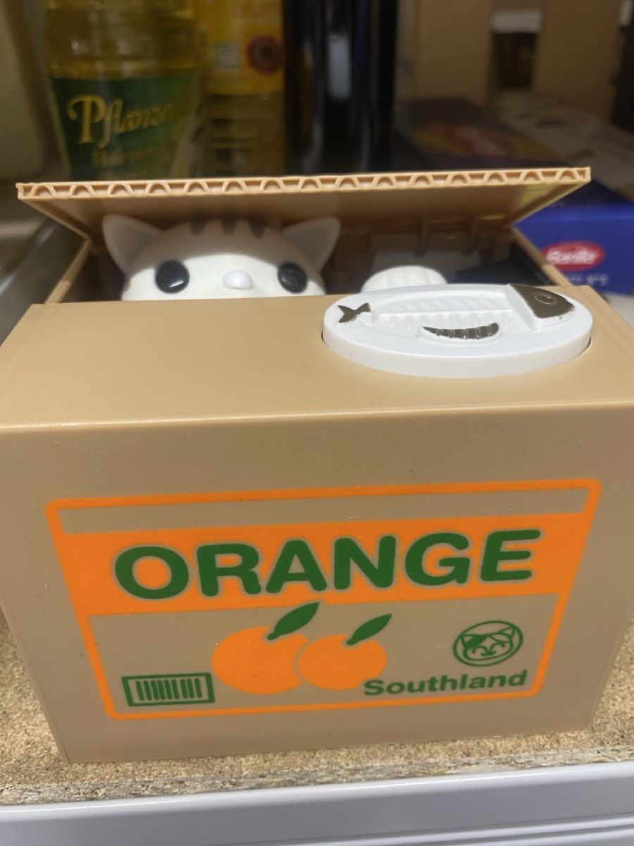 Salvadanai: Spardose Katze mit Orange Design neuwertig – Usato da Zürich venduto da vreni1973