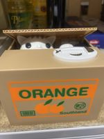 Spardose Katze mit Orange Design neuwertig