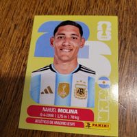 Panini26 MOLINA