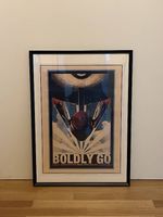 Affiches Star Trek (avec ou sans cadres)