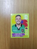Panini WM 2026 Sticker - ECU 3