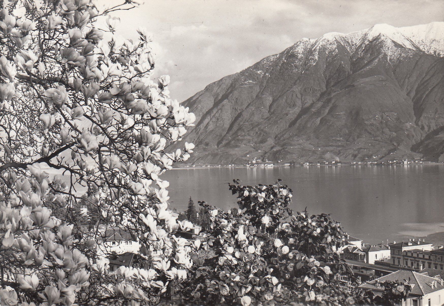 Cartoline postali: Locarno 1960 – Usato da Bürglen TG venduto da StampGraf