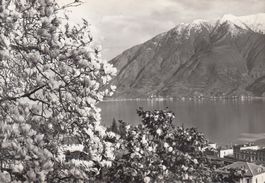 Locarno 1960