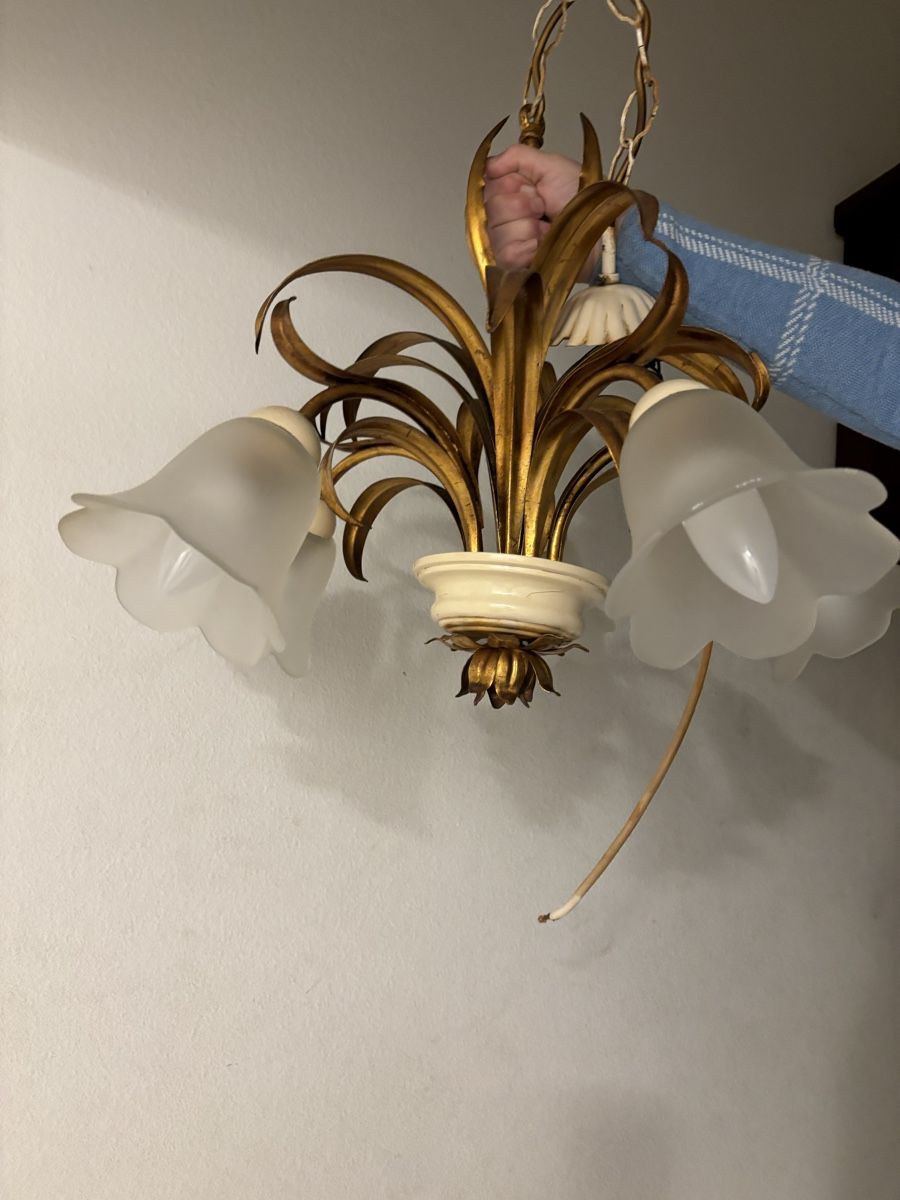 Lampadari & plafoniere: Hängelampe mit Blumenkelchen  und Blättern – Usato da Kriens venduto da Mollinos 1