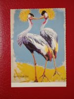 AK Kunst Tiere Color Fritz Hug Kronenkraniche