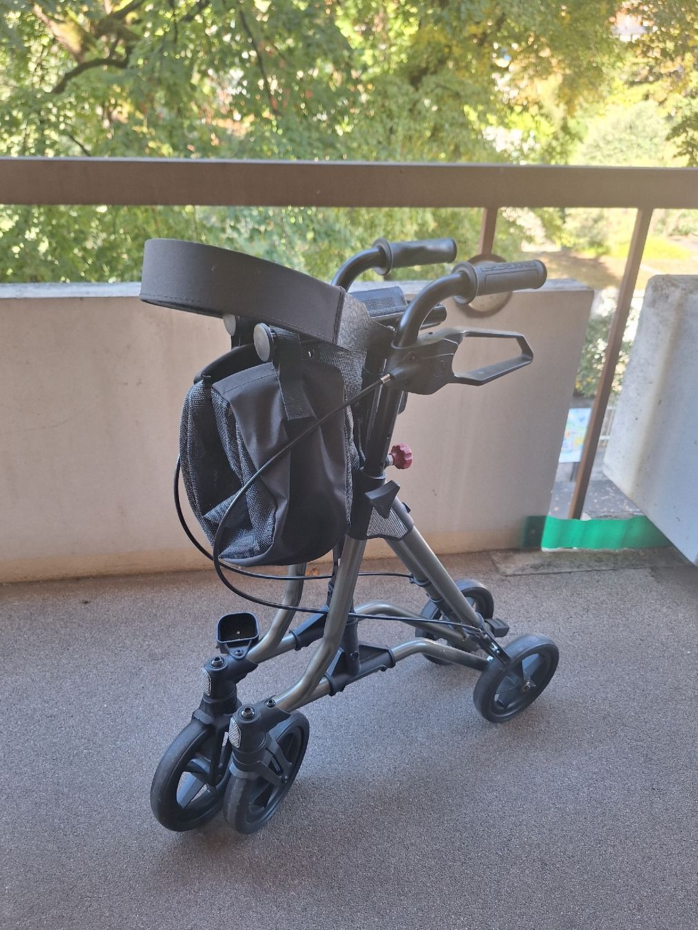 Ausili per la deambulazione: rollator Taima M GT – Usato da La Tour-de-Peilz venduto da clo_cw6s 4