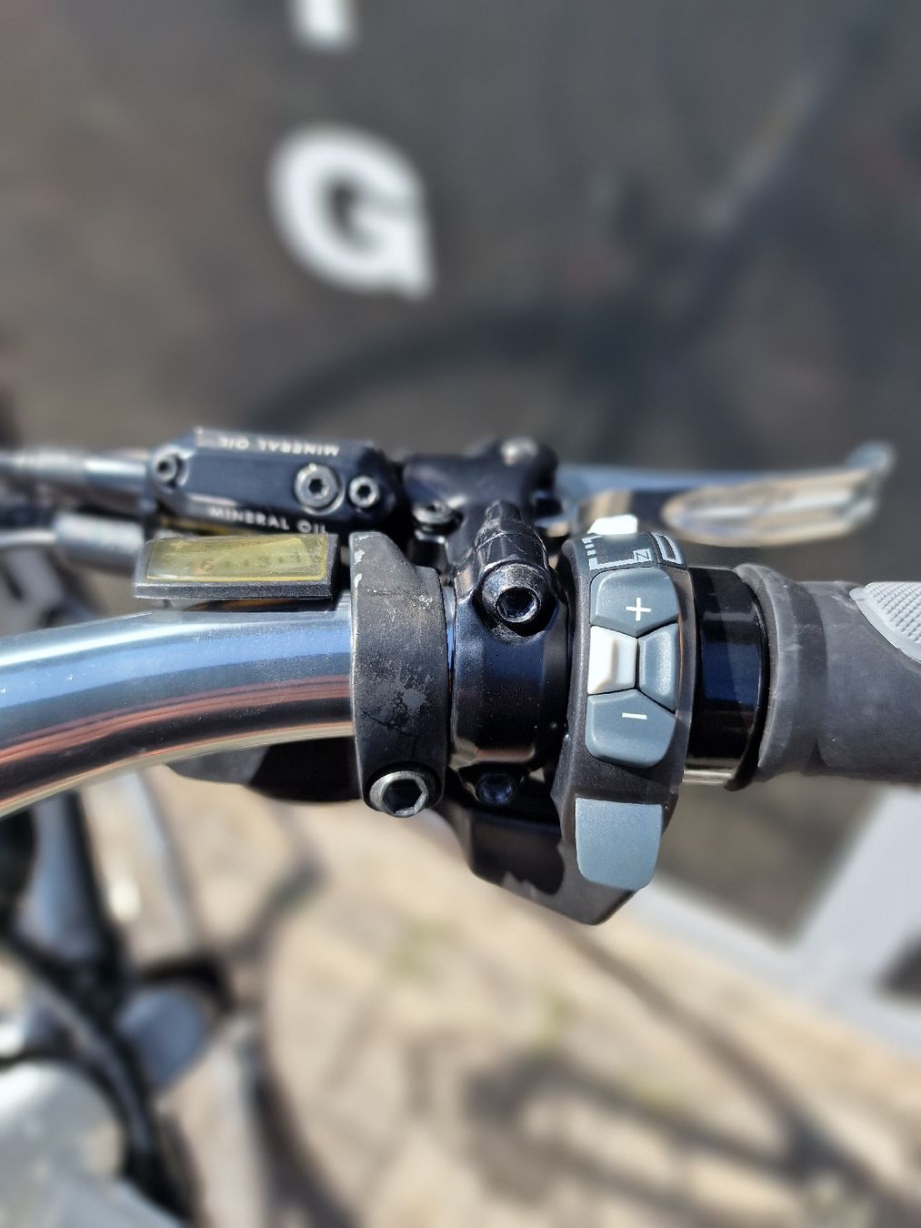 Bionx Velos: E-Bike Wheeler E-Ecorider Bionx Motor – Gebraucht aus Oberuzwil von SpigEbike 6