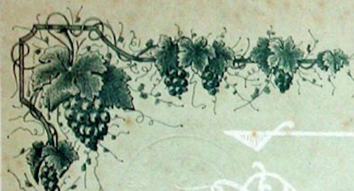 Documenti: La Vigne, Toulouse - 1892 – Usato da Solothurn venduto da Sgasche 1