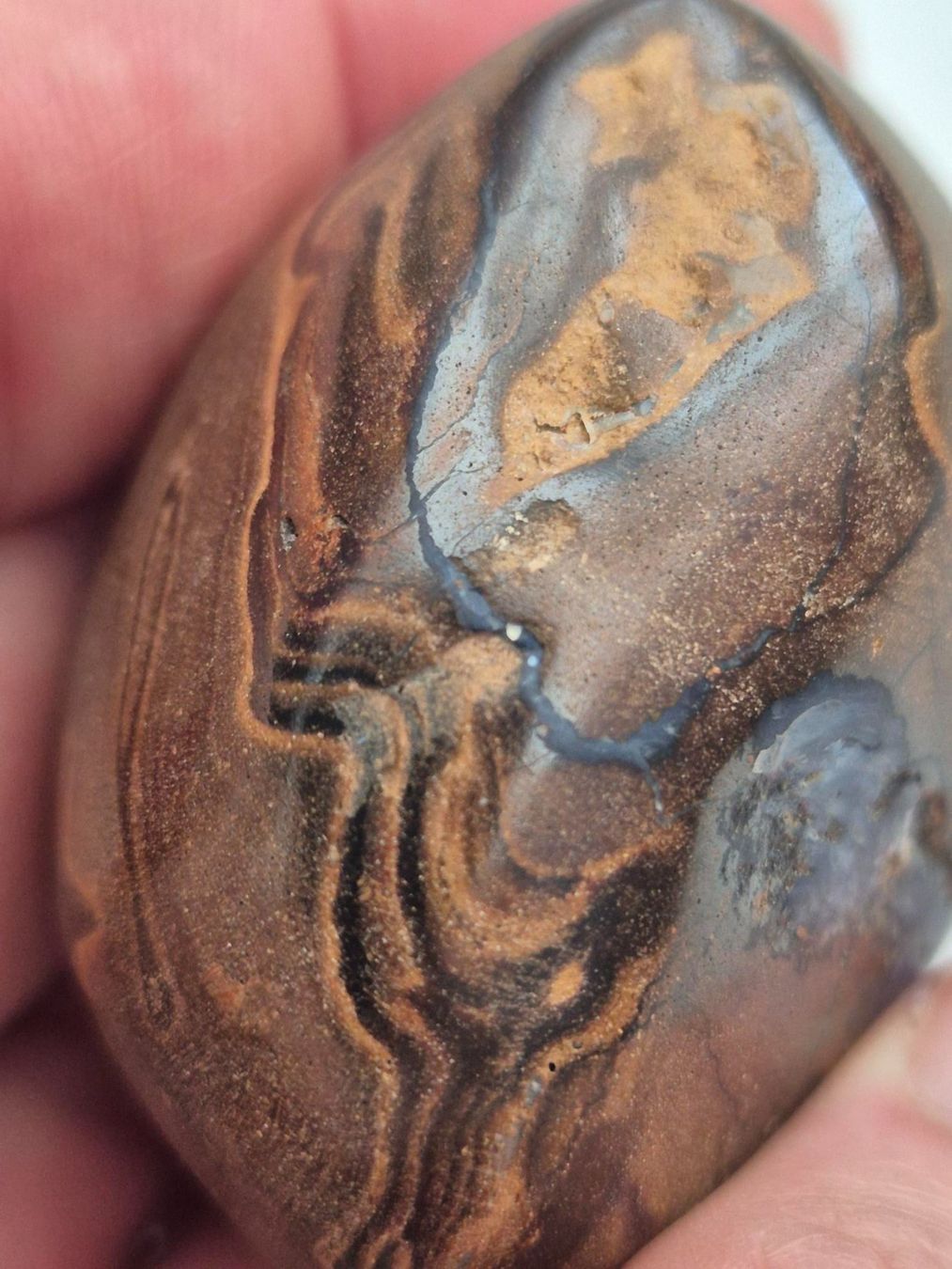 Pietre preziose: Grosser Boulder Opal 406.5ct / 81.3g – Nuovo (secondo la descrizione) da Rüti ZH venduto da pep_l9zp 5