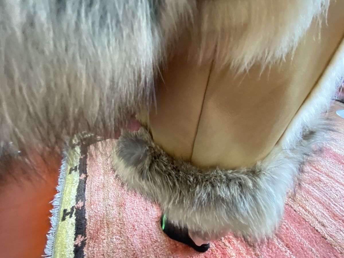 Prada Manteaux: Klassischer Wintermantel von PRADA Grösse 36 – D'occasion à Widnau par Kamfiloulove 2