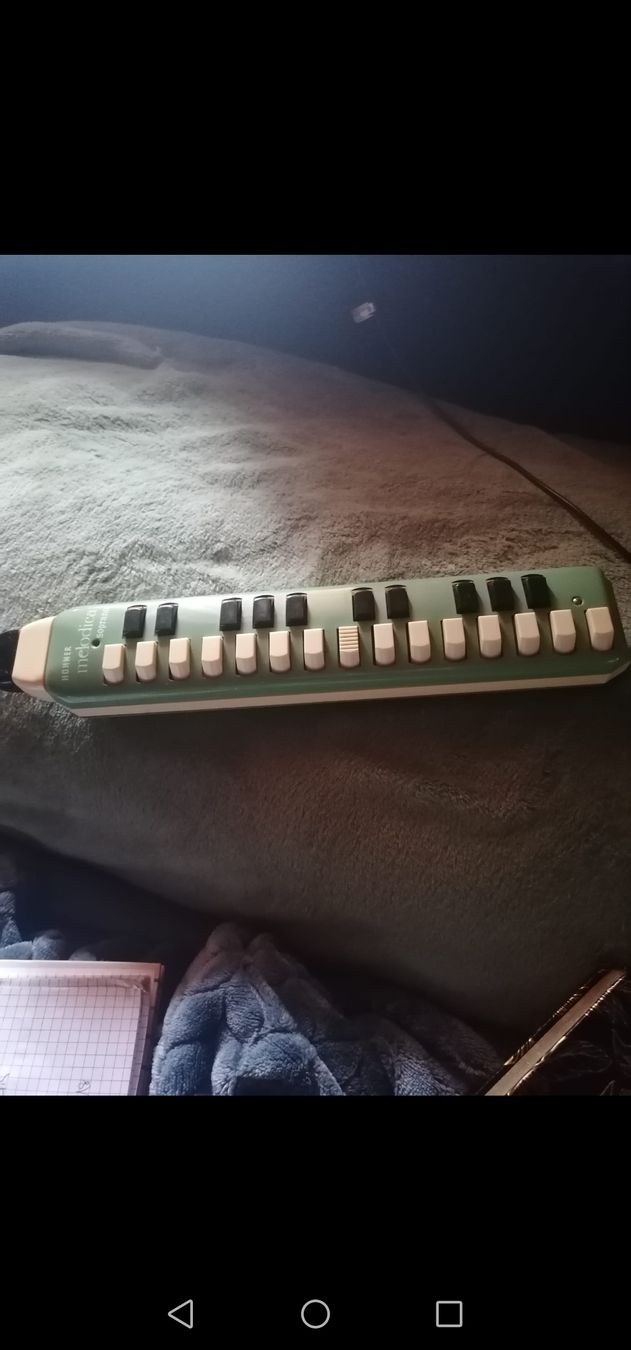 Hohner Strumenti musicali: Gut erhaltene Melodika mit Koffer, – Usato da Boniswil venduto da 1988liringreen 2