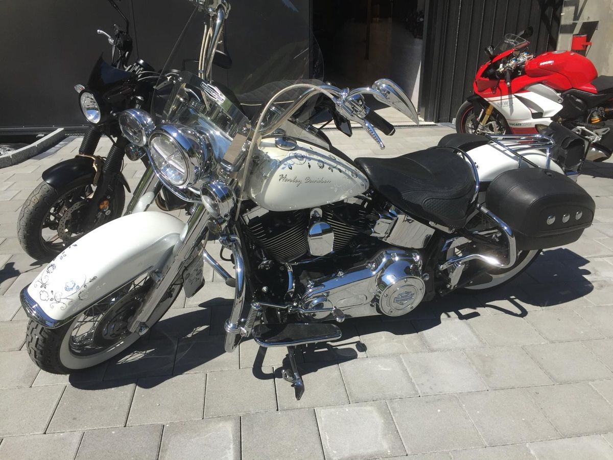 Harley-Davidson Chopper: Harley Davidson FLSTN 56kw – Usato da Oberweningen venduto da Bumblebee2 1