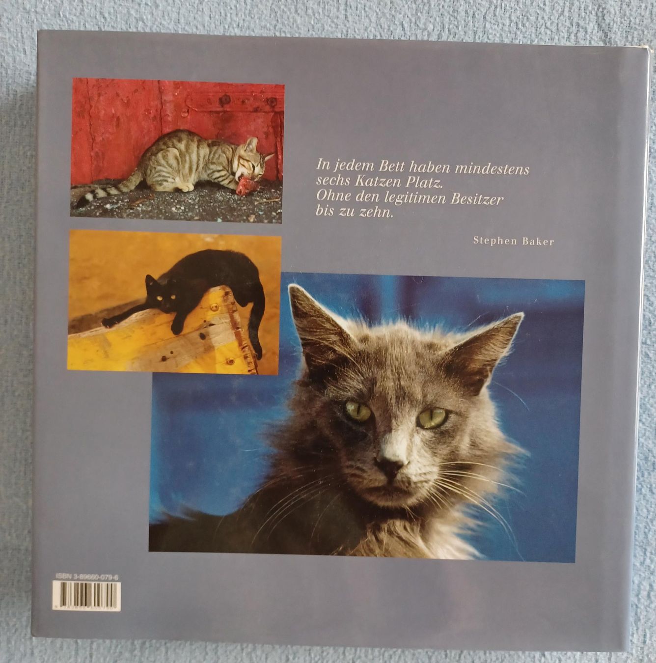 Libri: Buch - Alle Katzen – Usato da Leimbach TG venduto da manu-tg 1