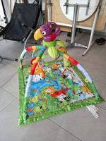 Fisher-Price Spieldecke mit Bogen gebraucht