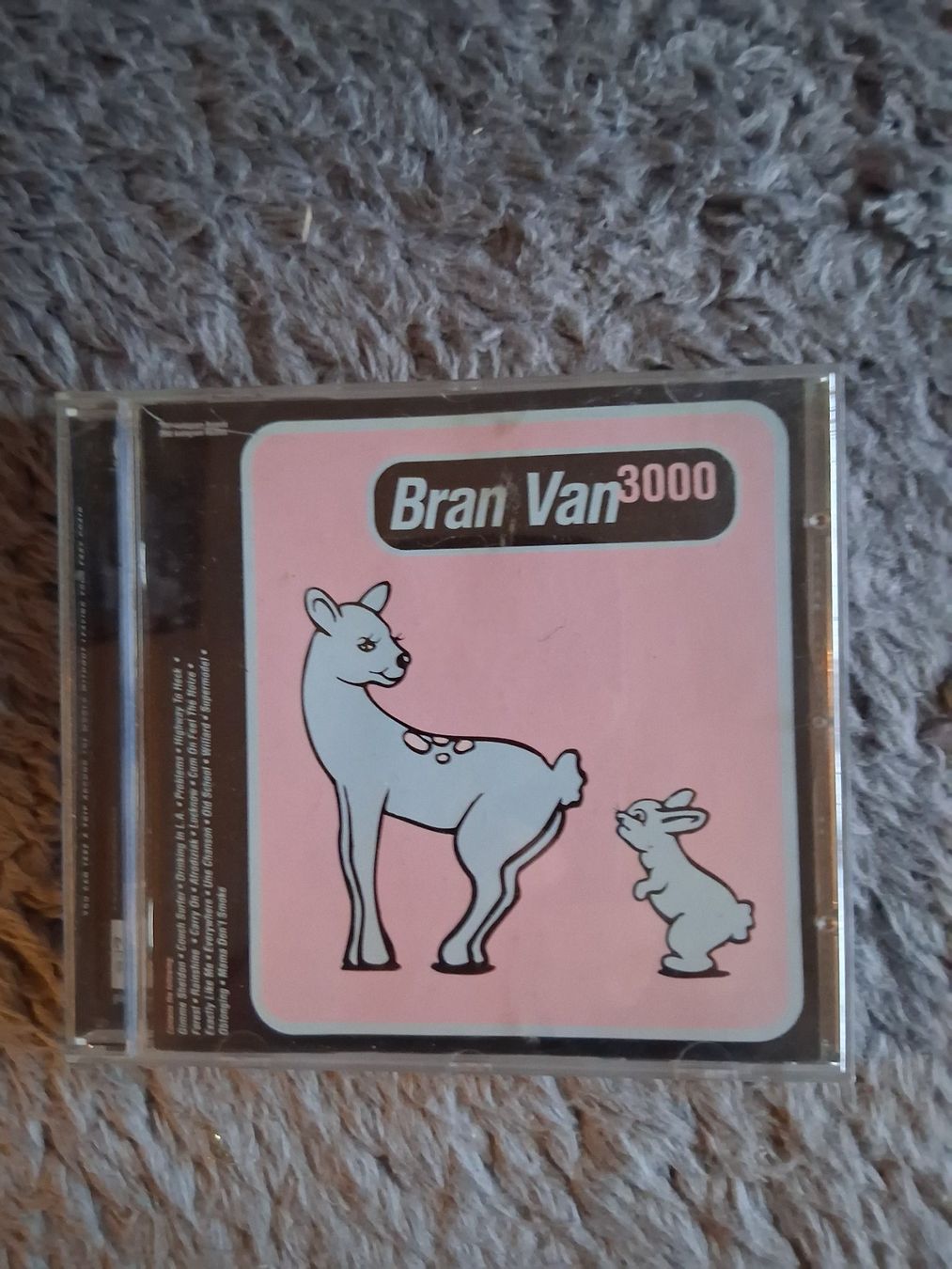CDs: BRAN VAN 3000    CD – Gebraucht aus Wetzikon ZH von Ramones01