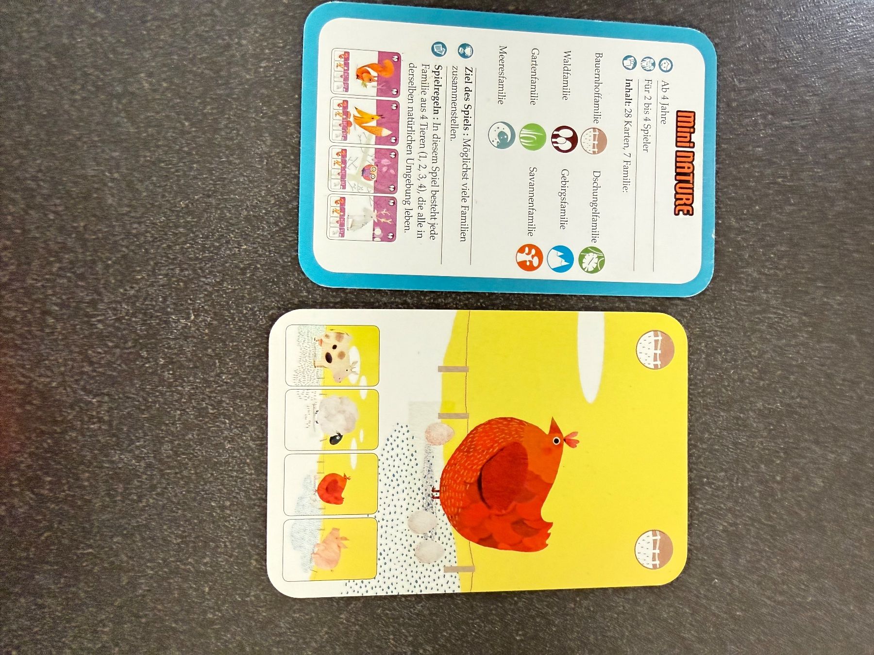 Giochi: Ravensburger Äpfelchen und andere Brettspiele – Usato da Scharnachtal venduto da Annanass 6