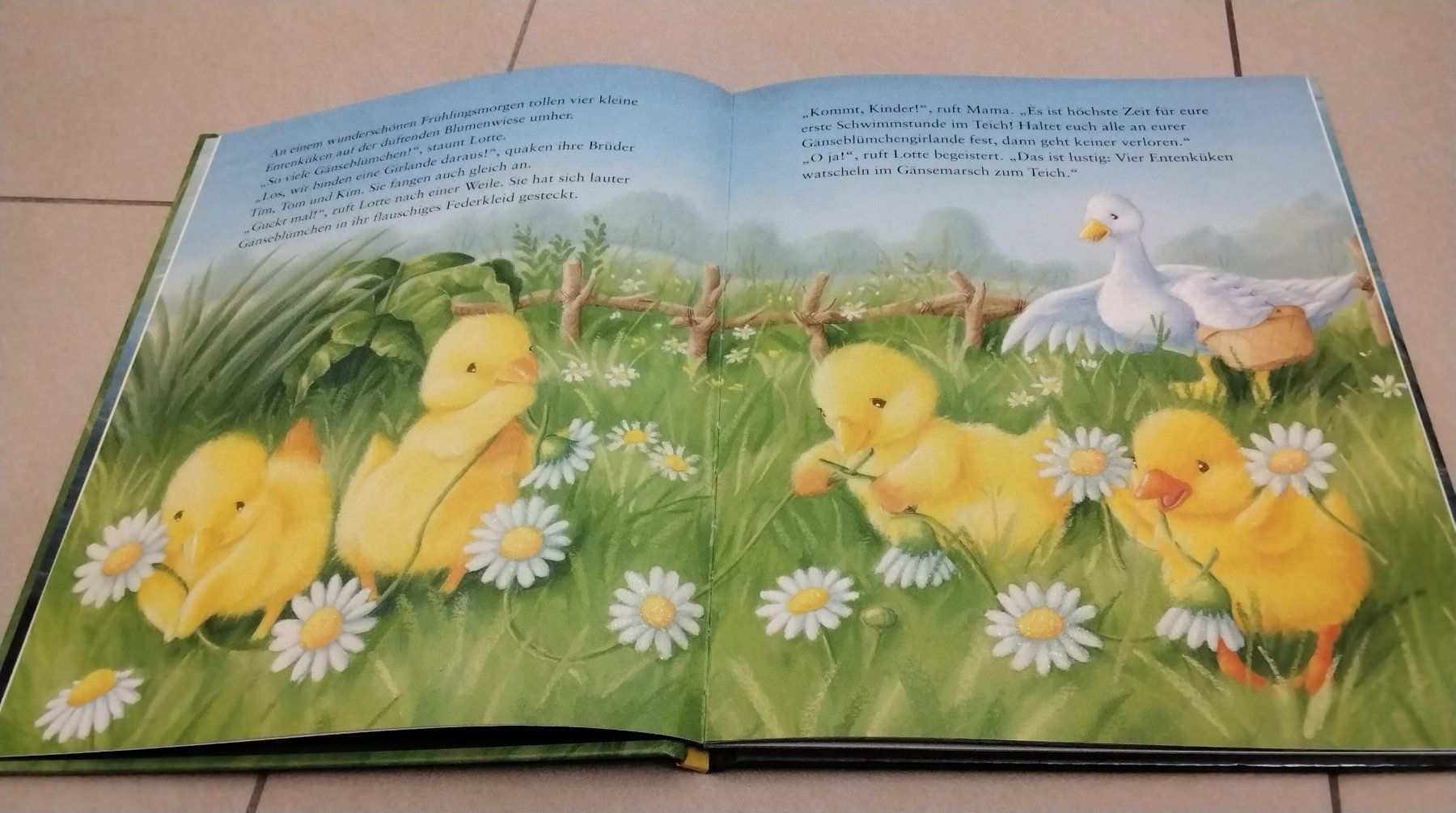 Libri: Lotta und die Gänseblümchen – Usato da Steinhausen venduto da pinu09 1