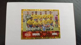 FWC 15 FIFA WM 26 Sticker - Legende Brazil 1994 - Selten!